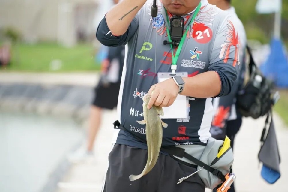 之后不仅动, RNZ, https 之后不仅动, RNZ, https