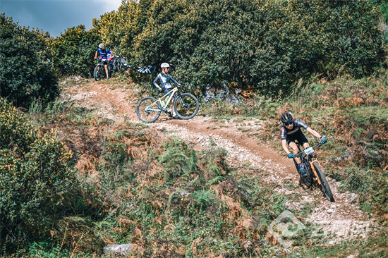 img, 丽江山地自, AA img, 丽江山地自, AA