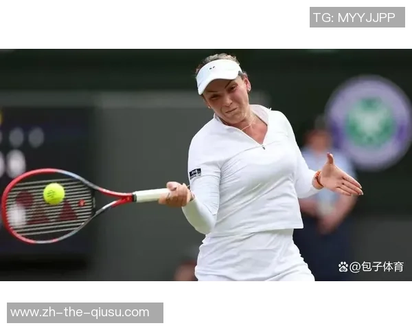 李娜与斯蒂文斯在WTA马德里站第三轮精彩对决视频回顾